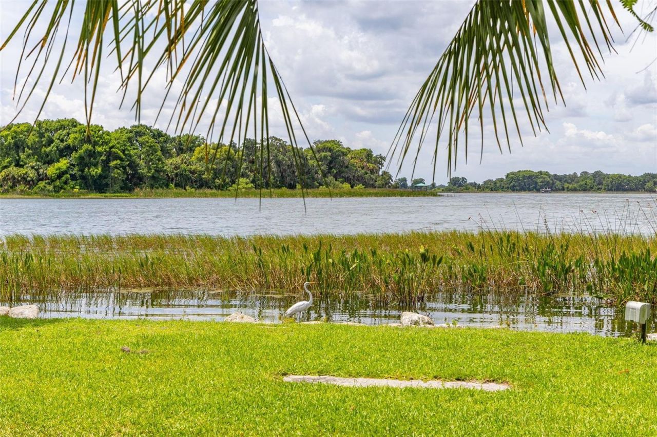 367 August Fern Loop , Mount Dora, FL 32757 Photo