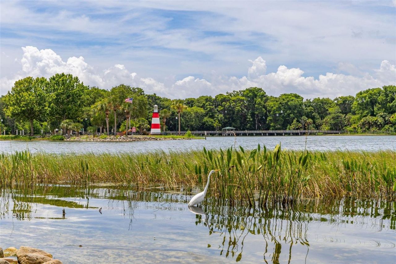 367 August Fern Loop , Mount Dora, FL 32757 Photo