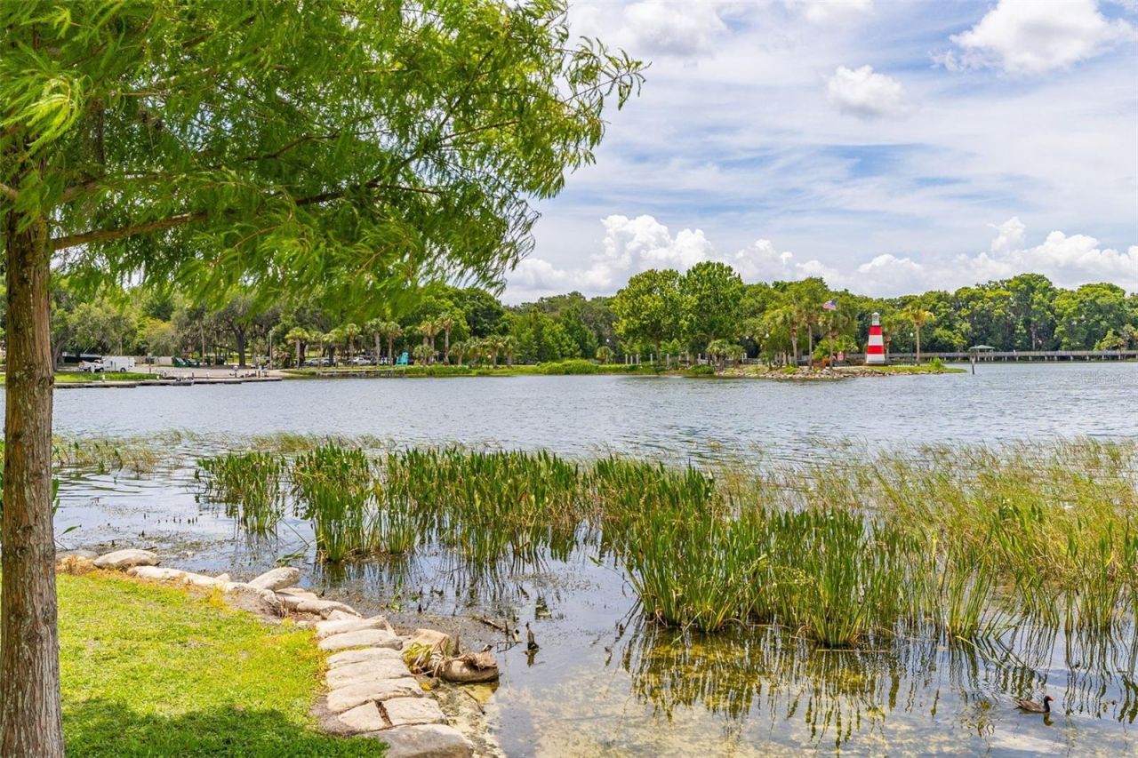 367 August Fern Loop , Mount Dora, FL 32757 Photo