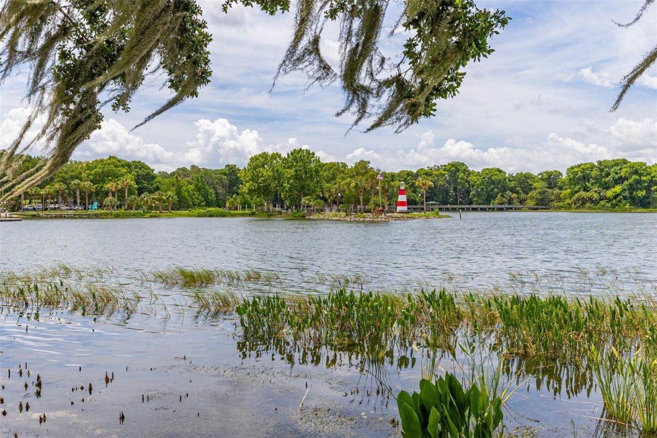 367 August Fern Loop , Mount Dora, FL 32757 Photo