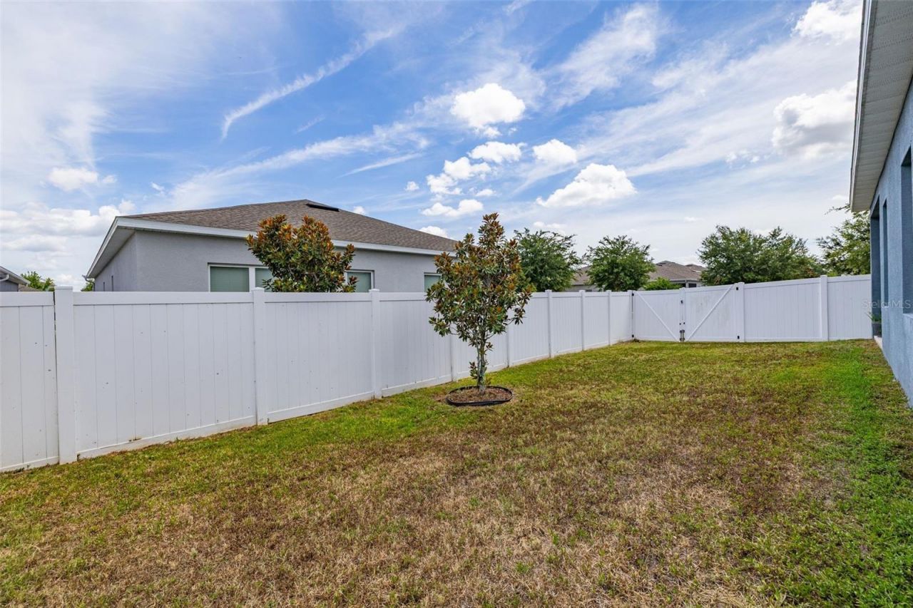 367 August Fern Loop , Mount Dora, FL 32757 Photo