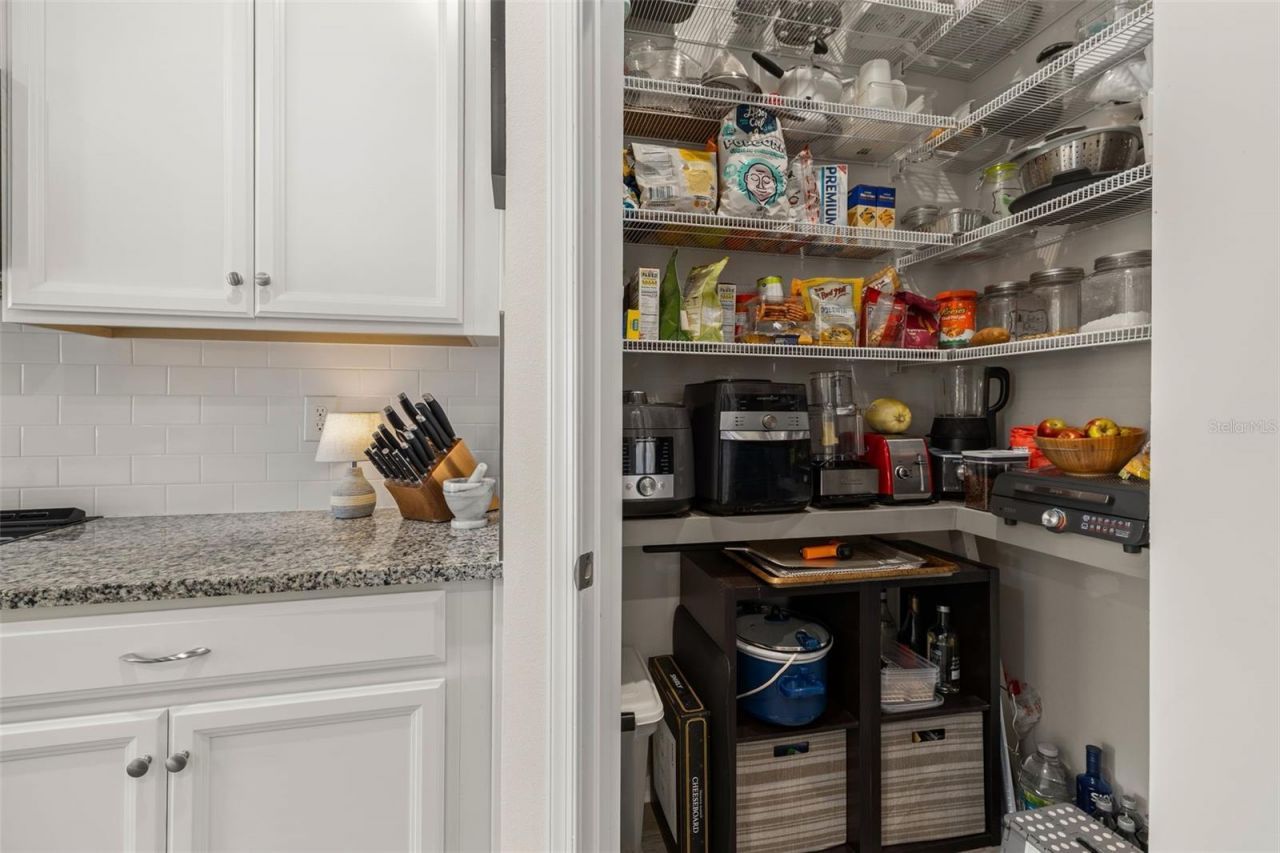 367 August Fern Loop , Mount Dora, FL 32757 Photo
