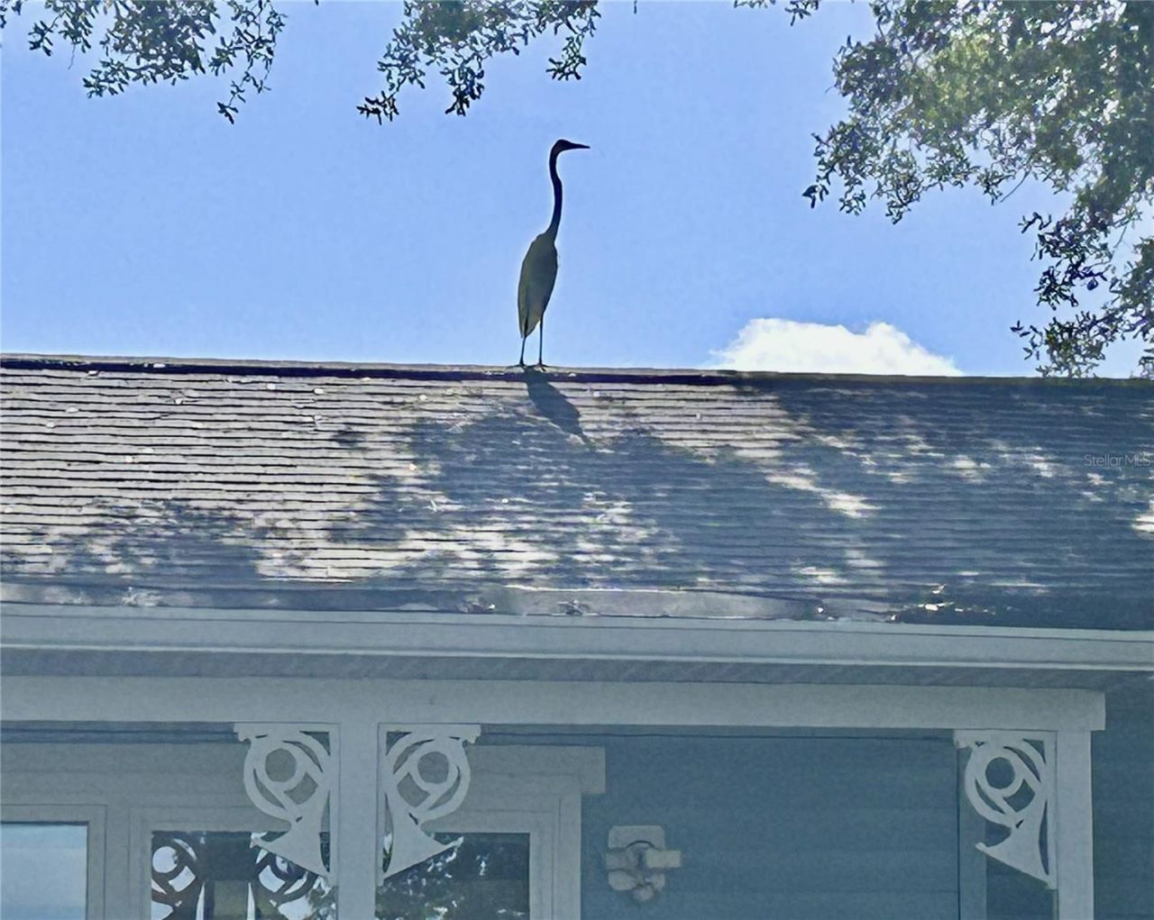 110 Sunset Drive S, Saint Petersburg, FL 33707 Photo