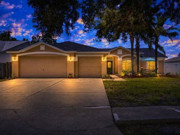 10313 TARRAGON DRIVE , RIVERVIEW, FL 33569