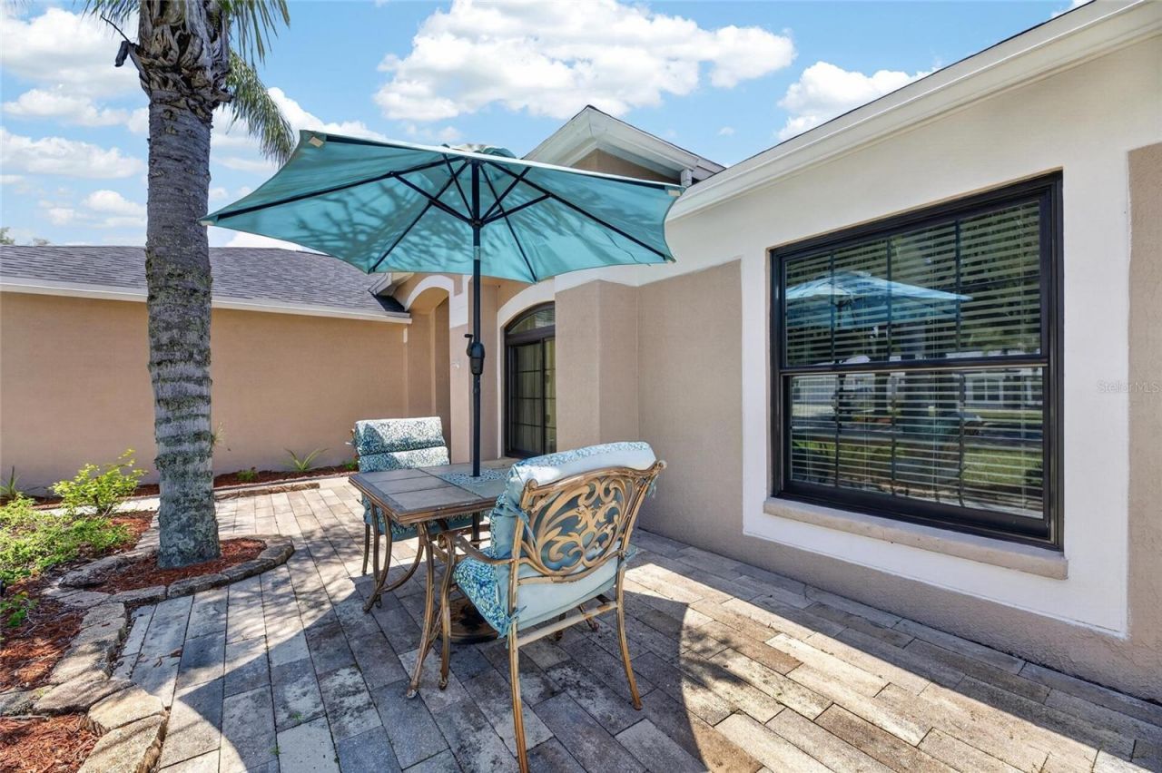 10313 Tarragon Drive, Riverview, FL 33569 Photo
