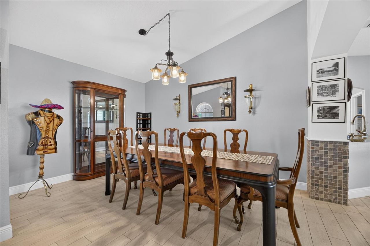 10313 Tarragon Drive, Riverview, FL 33569 Photo