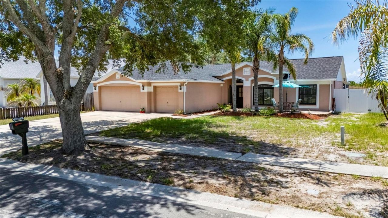 10313 Tarragon Drive, Riverview, FL 33569 Photo