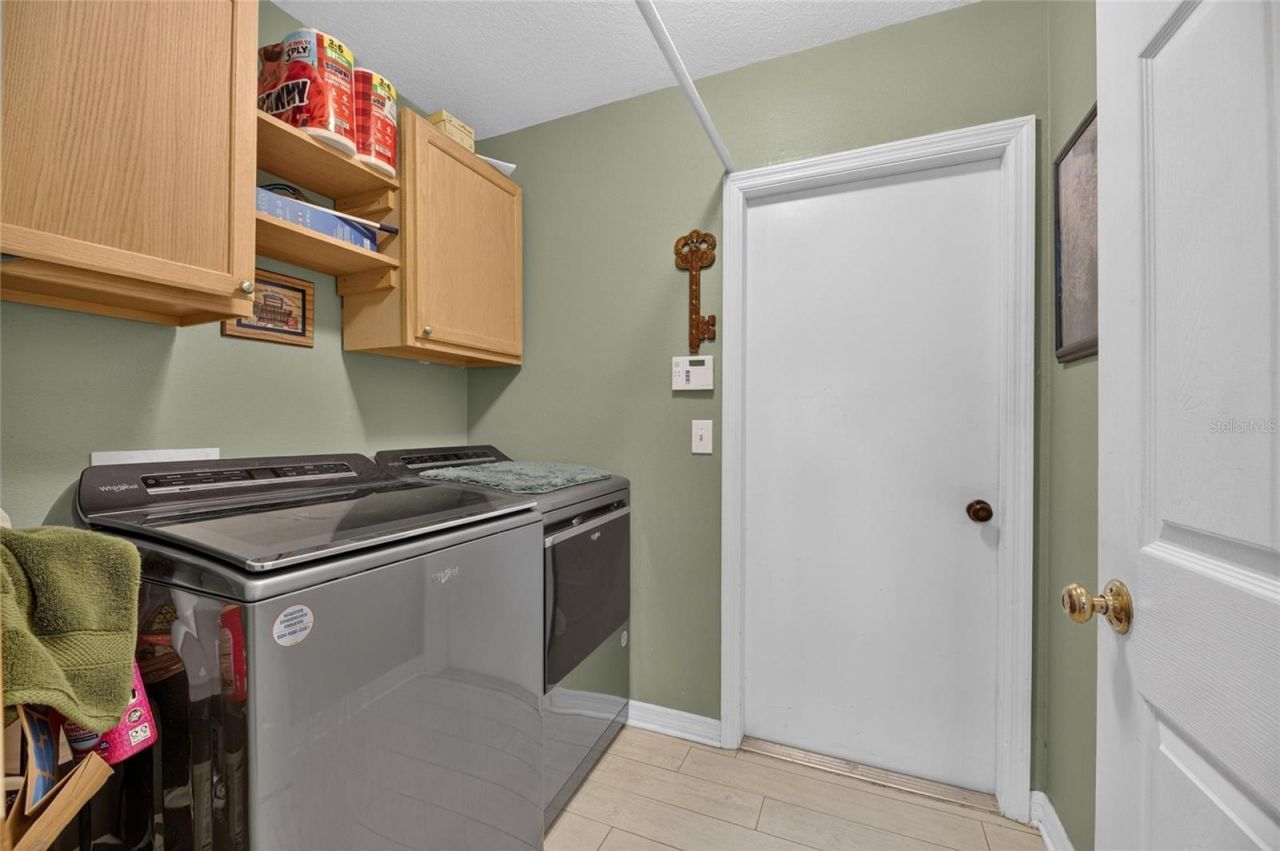 10313 Tarragon Drive, Riverview, FL 33569 Photo
