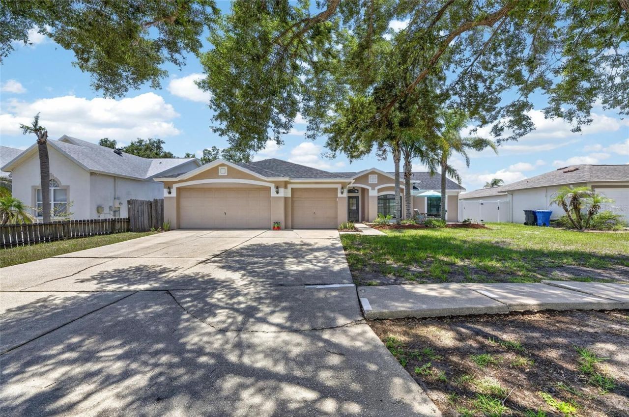 10313 Tarragon Drive, Riverview, FL 33569 Photo