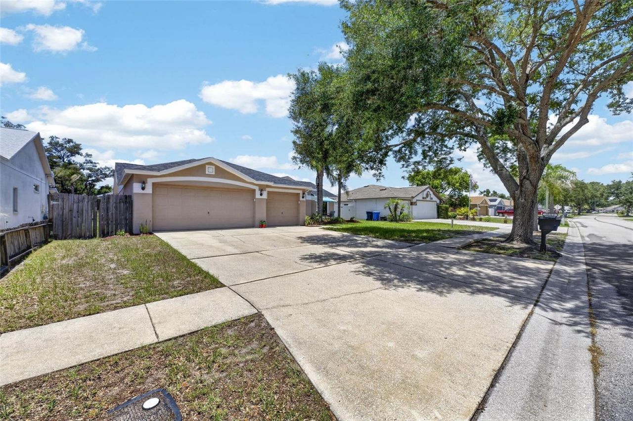 10313 Tarragon Drive, Riverview, FL 33569 Photo