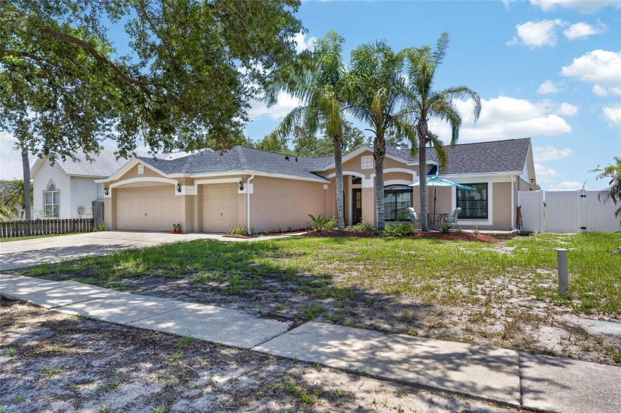 10313 Tarragon Drive, Riverview, FL 33569 Photo