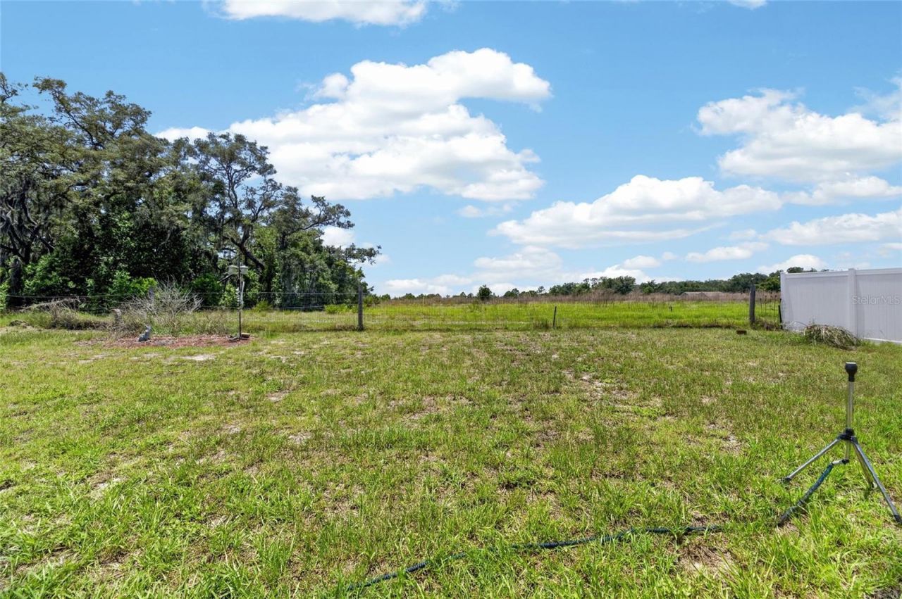 10313 Tarragon Drive, Riverview, FL 33569 Photo