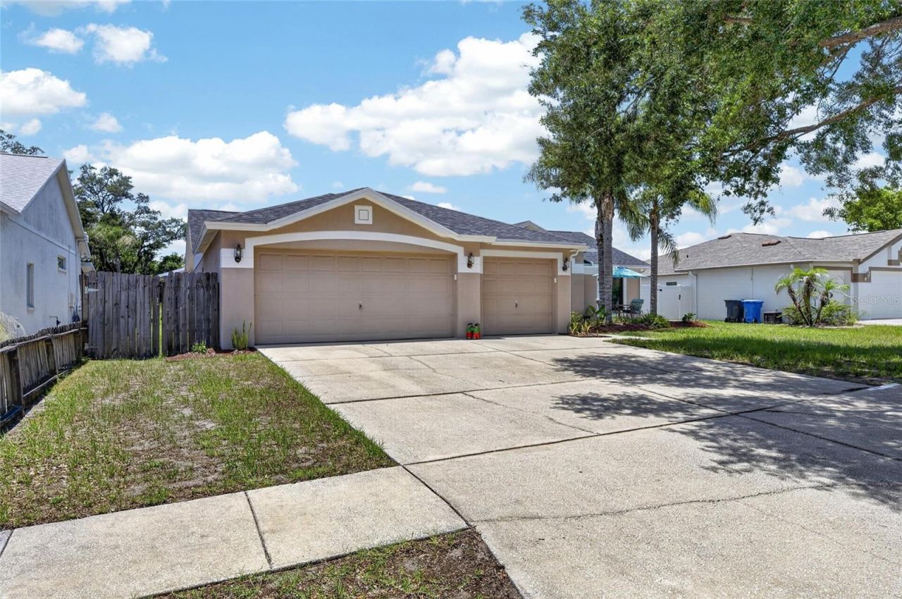 10313 Tarragon Drive, Riverview, FL 33569 Photo