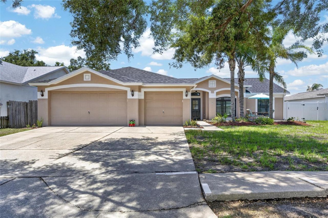 10313 Tarragon Drive, Riverview, FL 33569 Photo
