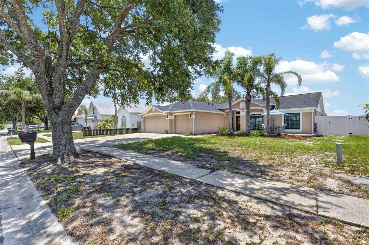 10313 Tarragon Drive, Riverview, FL 33569 Photo