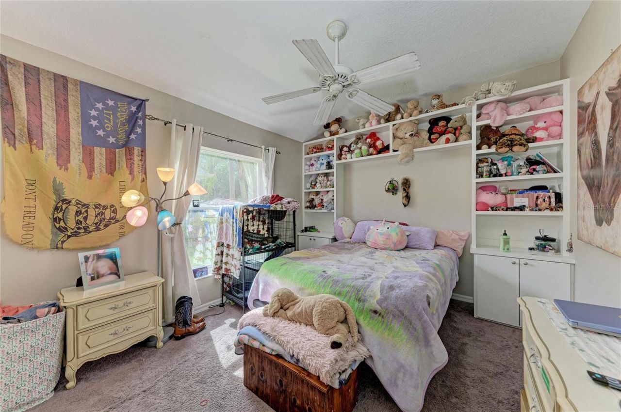 10918 Bullrush Terrace, Lakewood Ranch, FL 34202 Photo