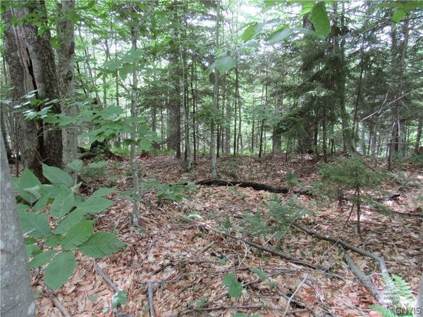 Palisades Road , Old Forge, NY 13420