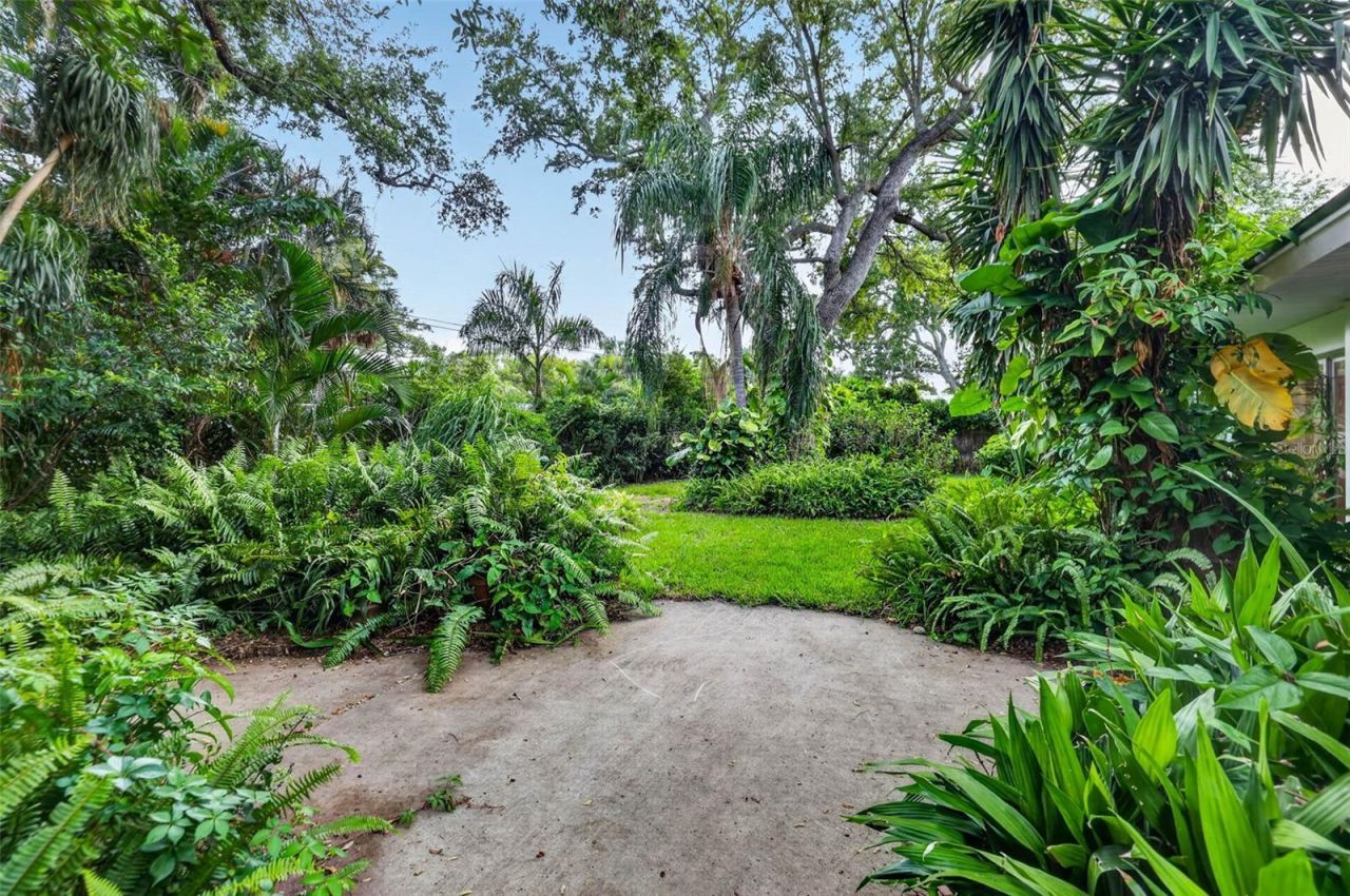 3171 San Pedro Street, Clearwater, FL 33759 Photo