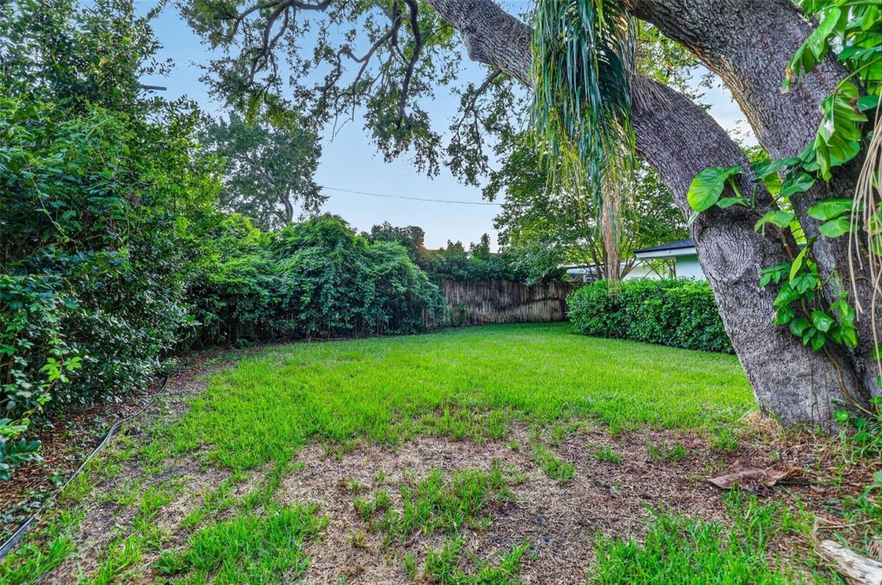 3171 San Pedro Street, Clearwater, FL 33759 Photo