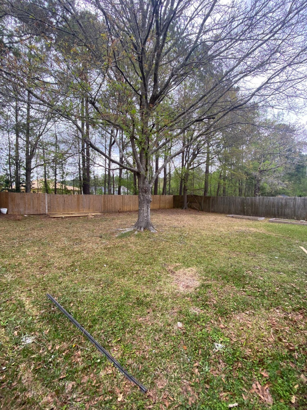 347 Water Oak Drive Photo 10