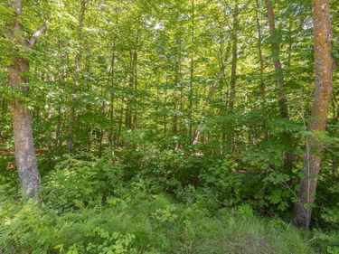 TBD Island View Drive NE, Longville, MN 56655