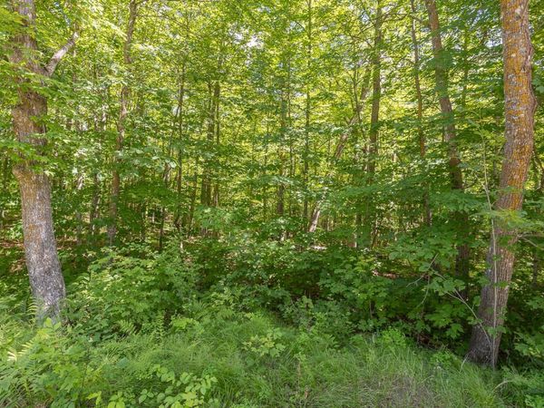 TBD Island View Drive NE, Longville, MN 56655