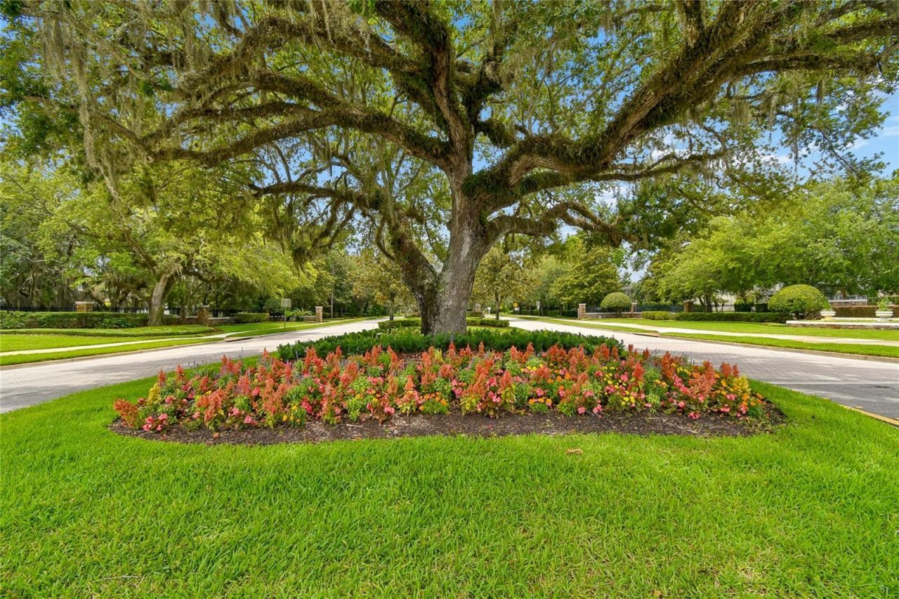 2821 Rustic Oak Place , Oviedo, FL 32766 Photo