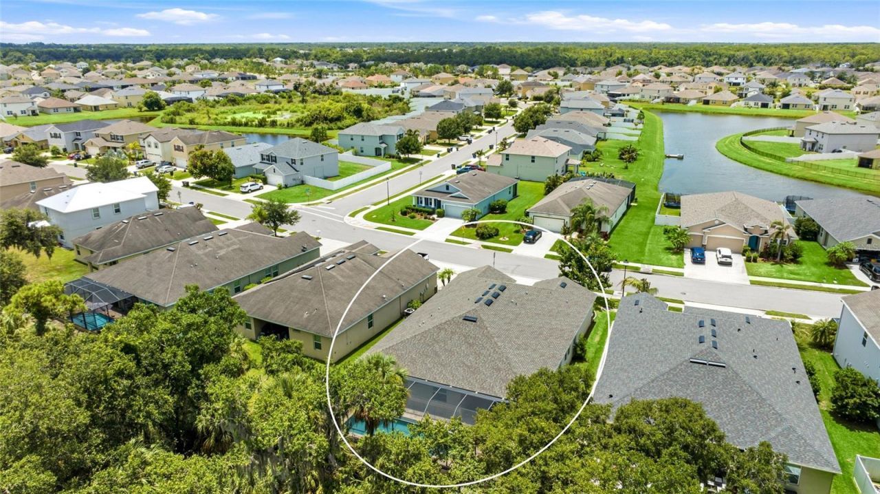 15313 Trinity Fall Way, Bradenton, FL 34212 Photo