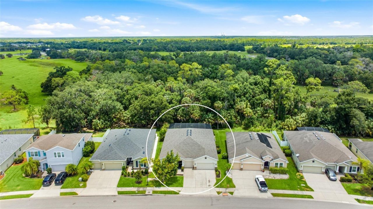 15313 Trinity Fall Way, Bradenton, FL 34212 Photo