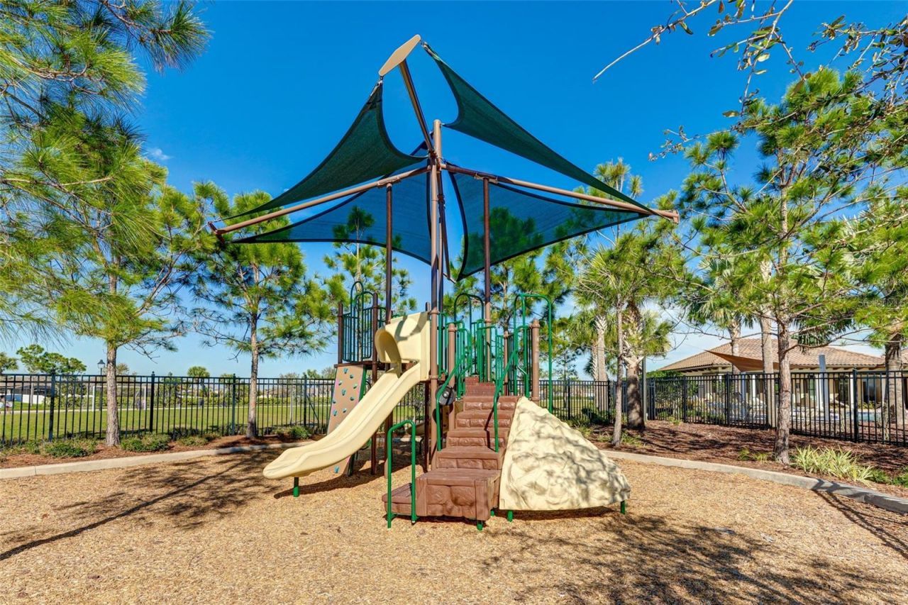15313 Trinity Fall Way, Bradenton, FL 34212 Photo