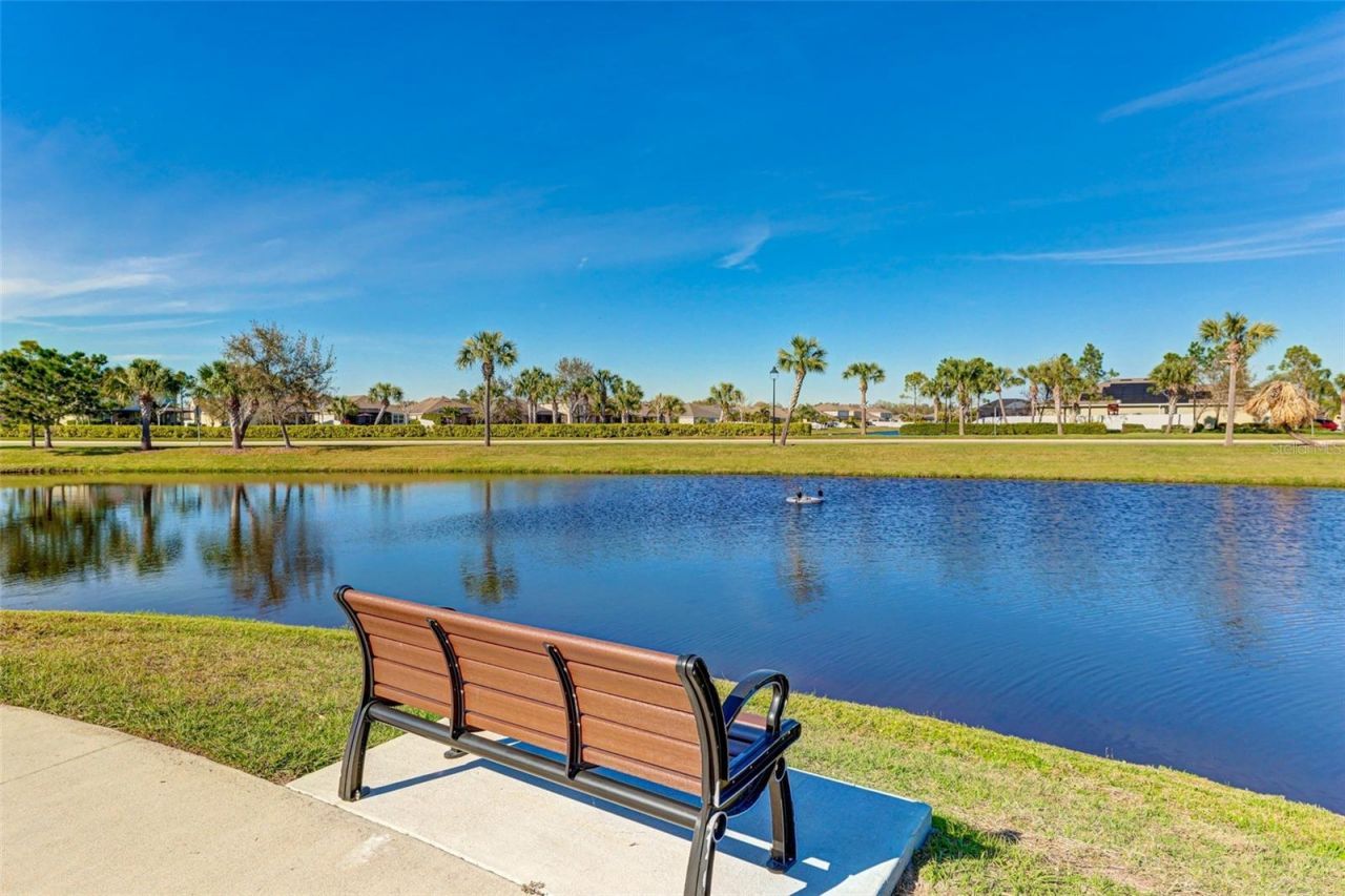 15313 Trinity Fall Way, Bradenton, FL 34212 Photo