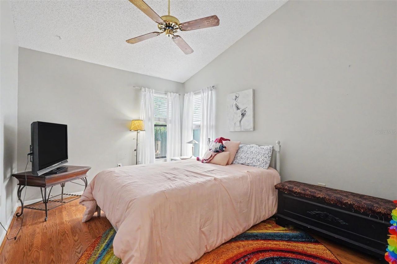 2773 Jeffrey Drive , Palm Harbor, FL 34684 Photo