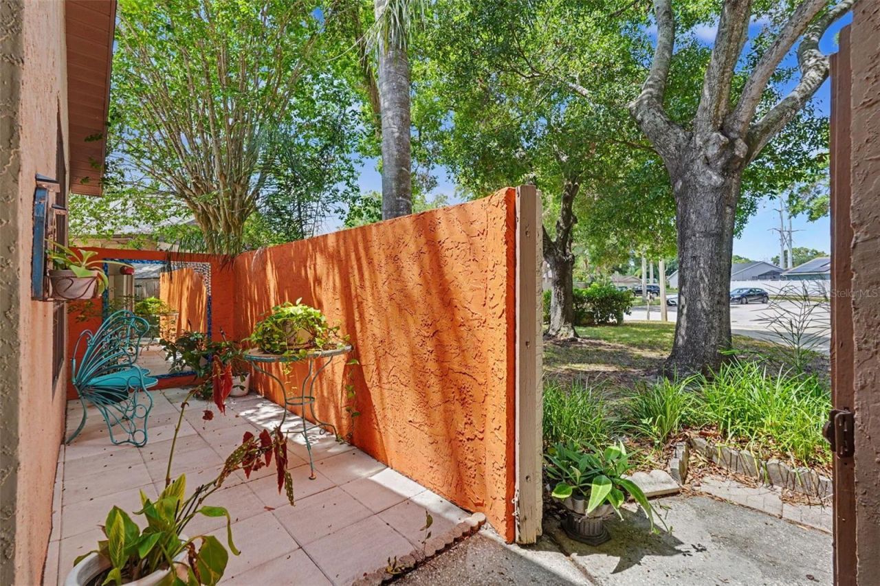 2773 Jeffrey Drive , Palm Harbor, FL 34684 Photo