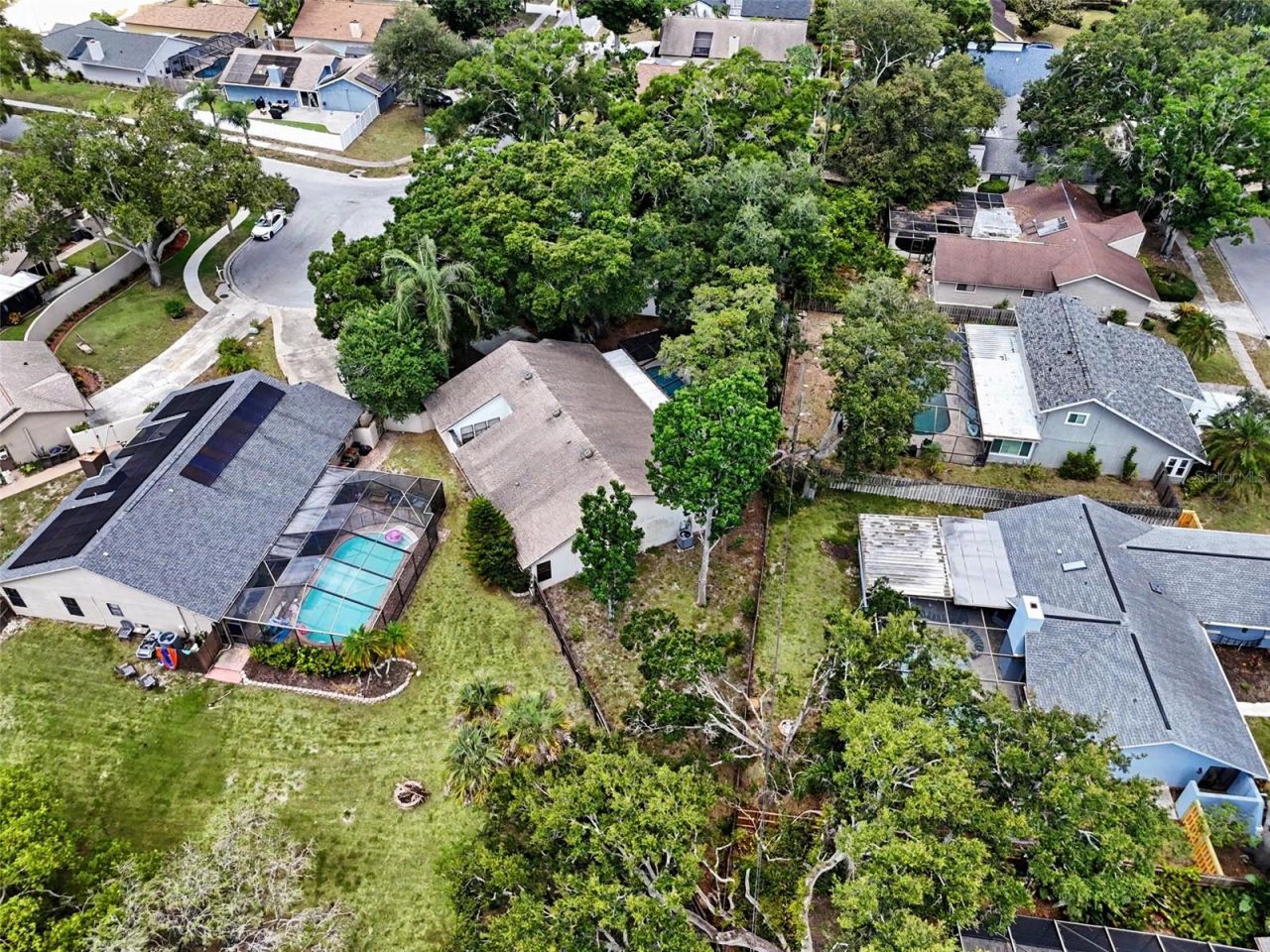 2773 Jeffrey Drive , Palm Harbor, FL 34684 Photo