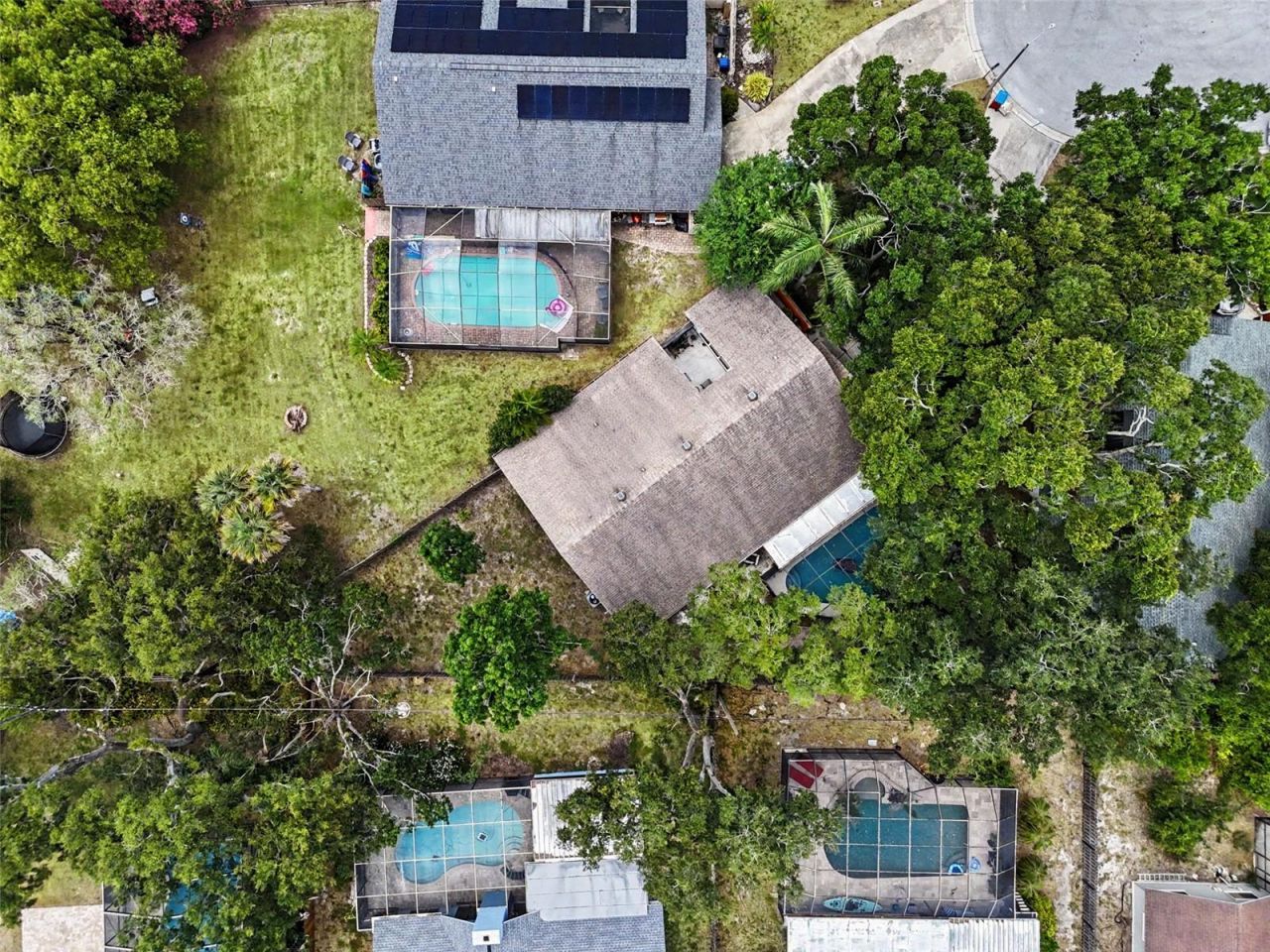 2773 Jeffrey Drive , Palm Harbor, FL 34684 Photo