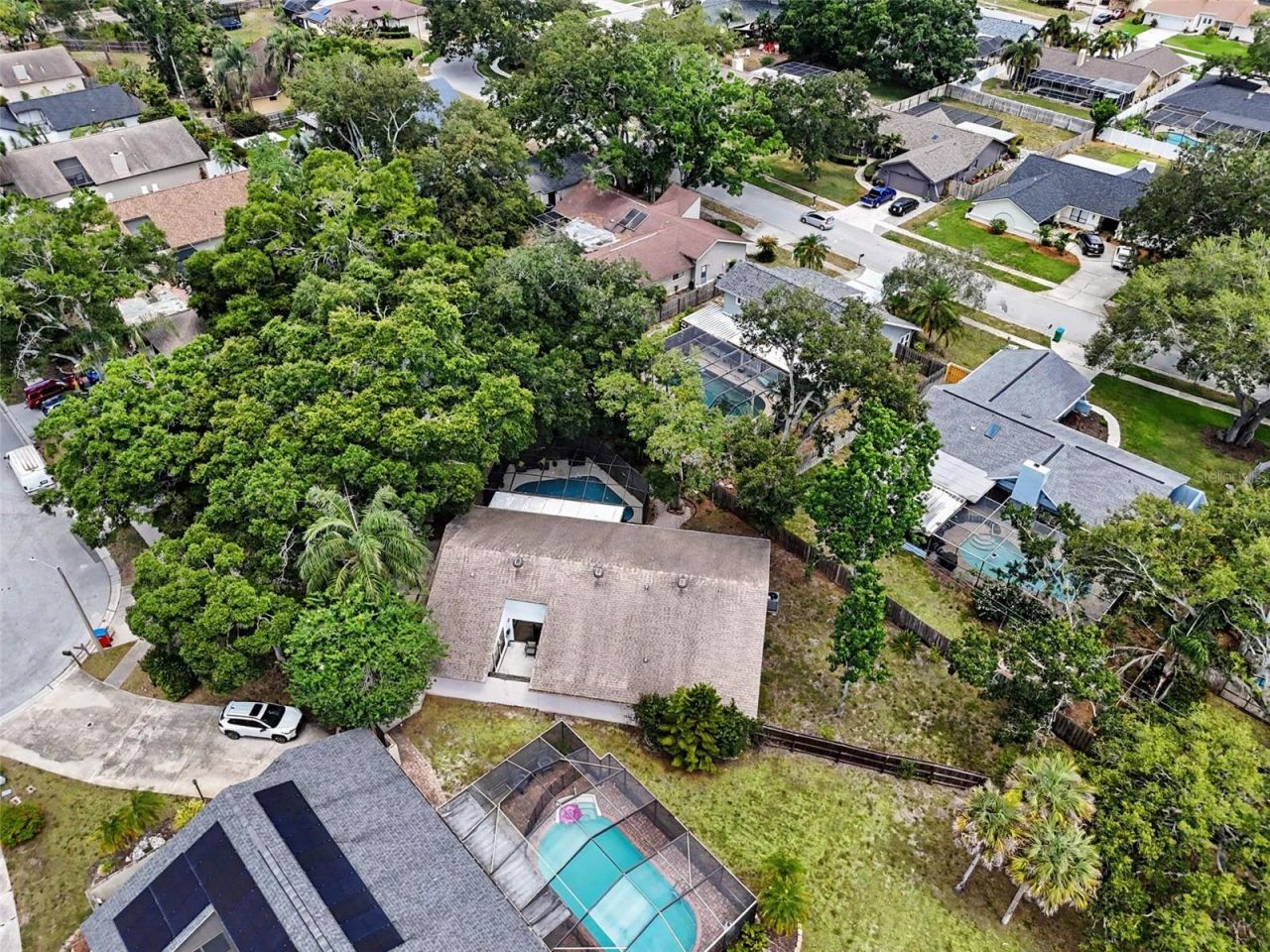 2773 Jeffrey Drive , Palm Harbor, FL 34684 Photo
