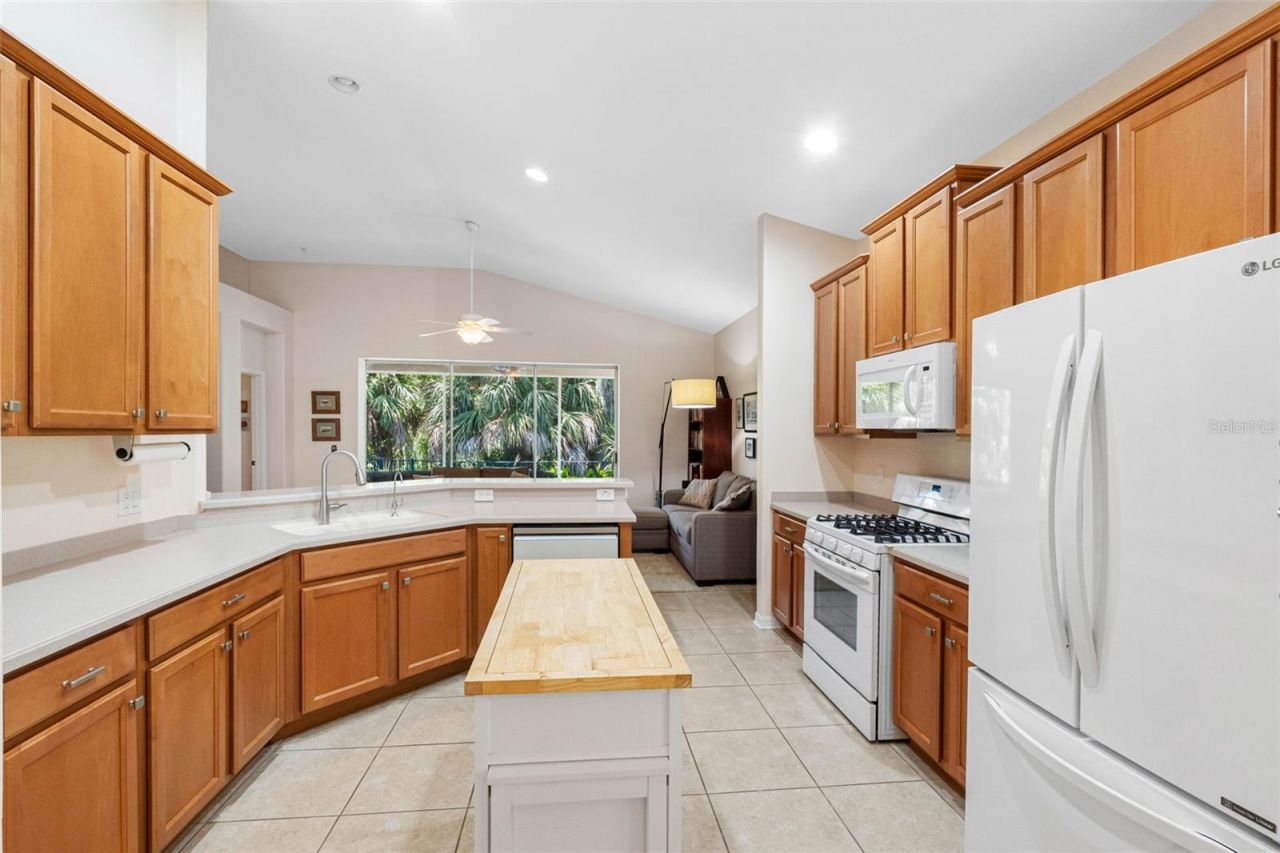5335 Clover Mist Drive , Apollo Beach, FL 33572 Photo