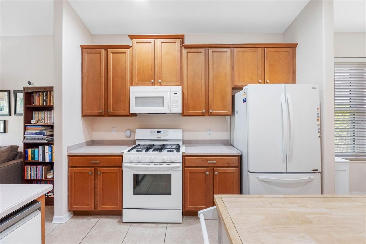 5335 Clover Mist Drive , Apollo Beach, FL 33572 Photo