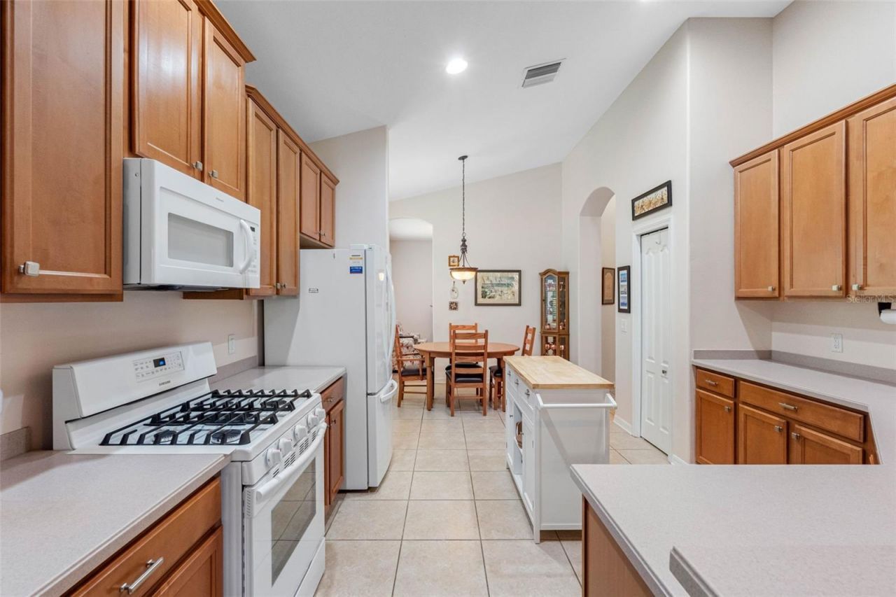 5335 Clover Mist Drive , Apollo Beach, FL 33572 Photo