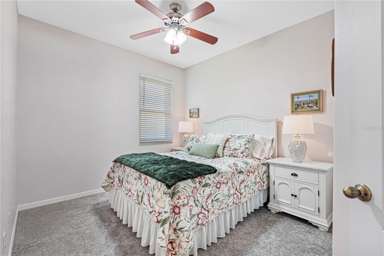 5335 Clover Mist Drive , Apollo Beach, FL 33572 Photo