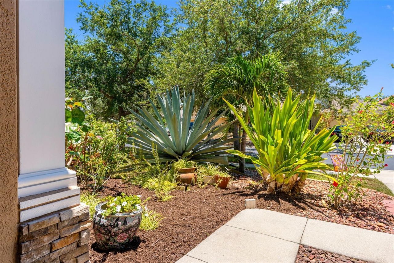 5335 Clover Mist Drive , Apollo Beach, FL 33572 Photo