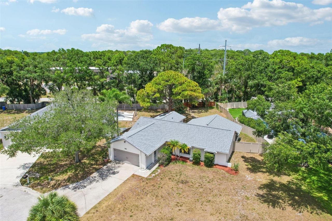 6805 Longpointe Way, Tampa, FL 33615 Photo
