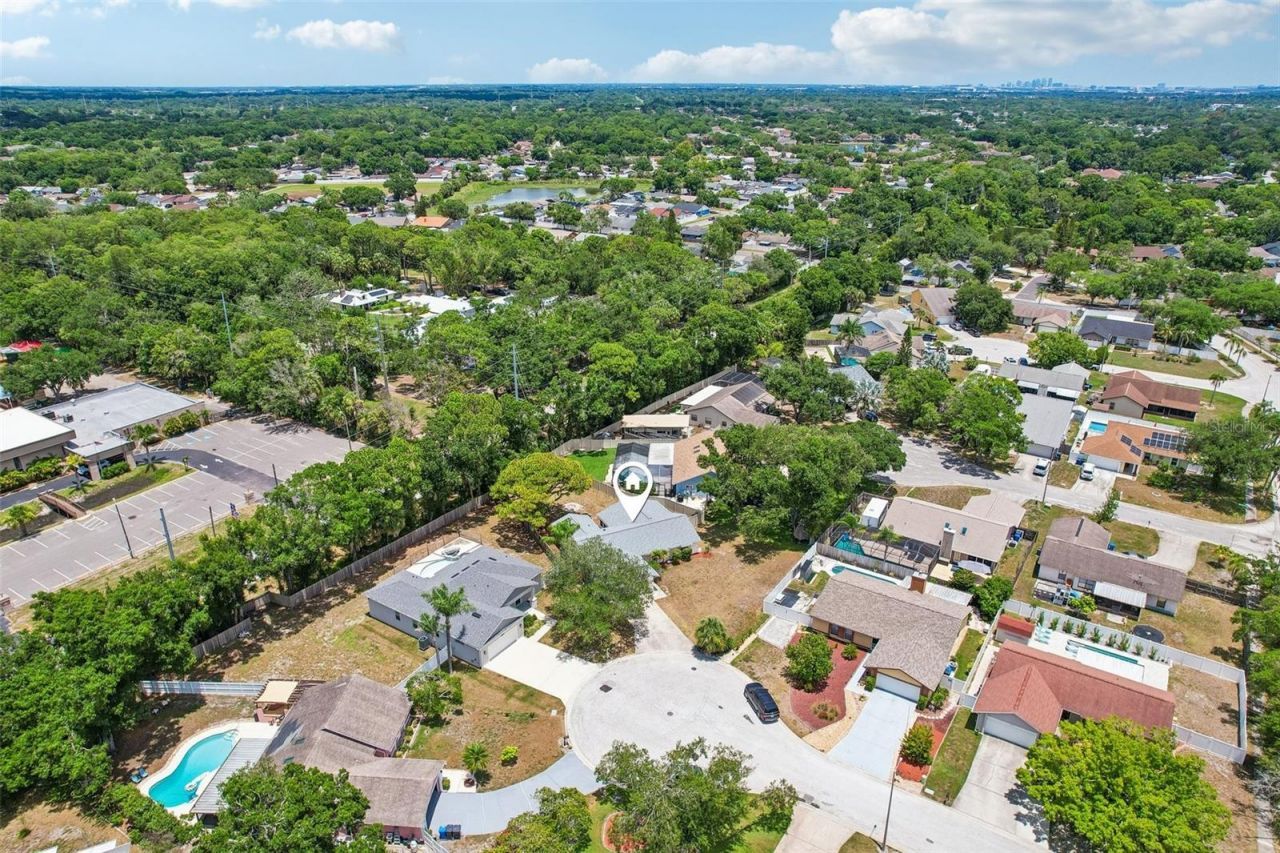 6805 Longpointe Way, Tampa, FL 33615 Photo