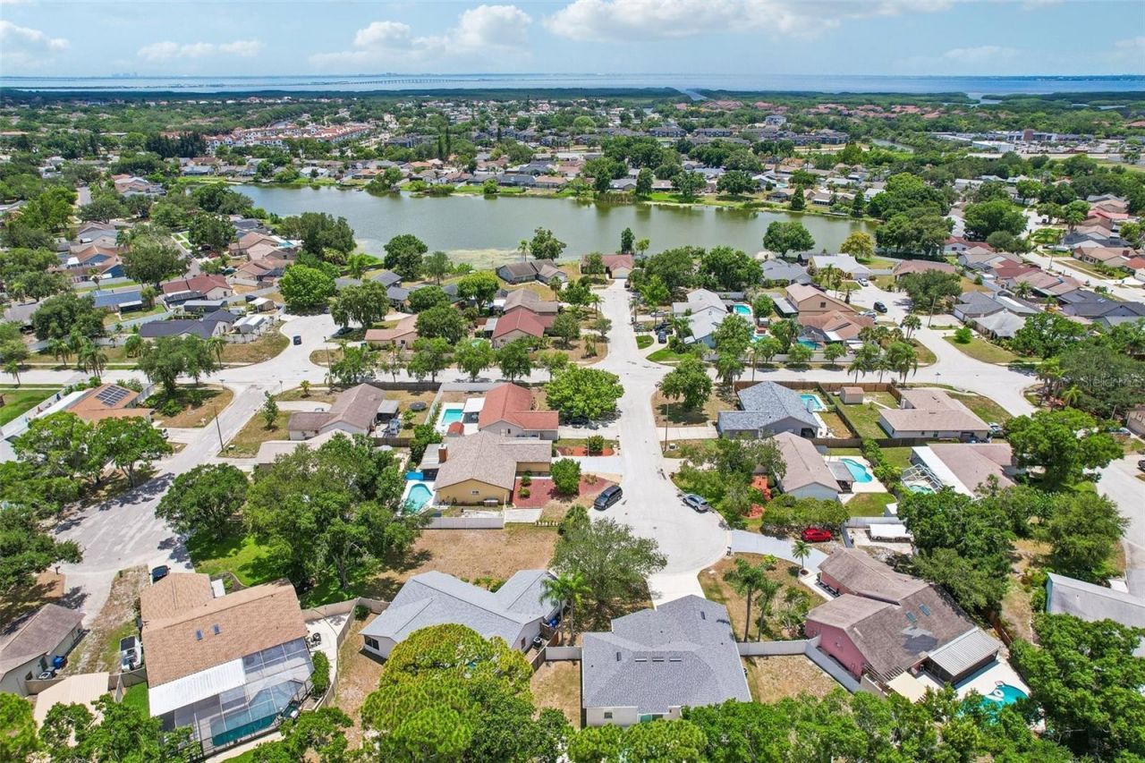 6805 Longpointe Way, Tampa, FL 33615 Photo