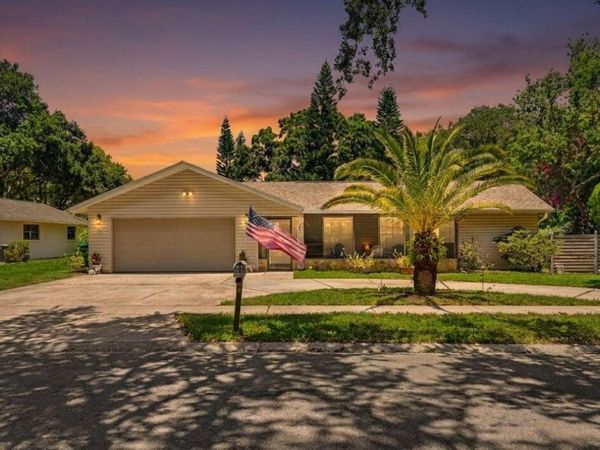 165 WOODCUTTER LANE, PALM HARBOR, FL 34683