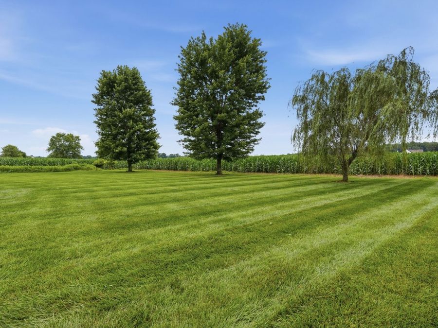Property Image 65