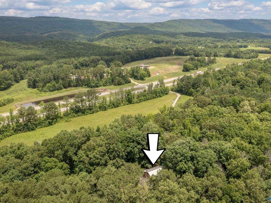 Property Image 6