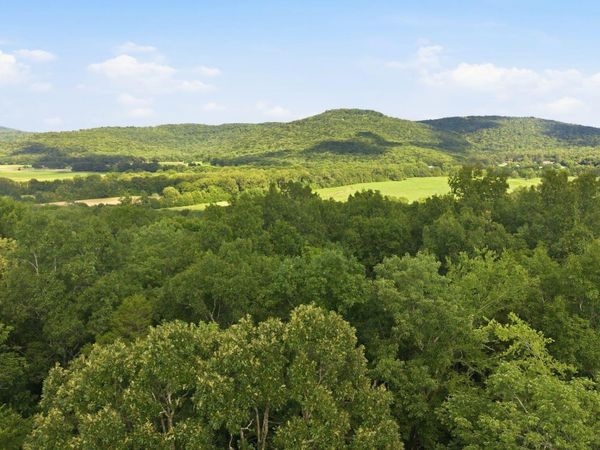11550 County Road 8, Woodville, AL 35776