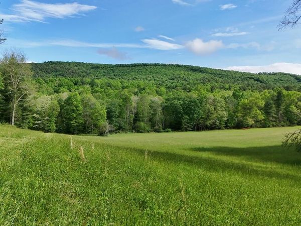 144+/- Ac Moncove Lake Road, Gap Mills, WV 24941