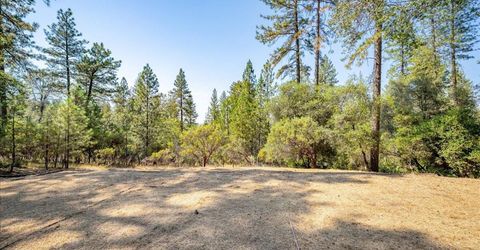 3560 Sugar View Rd, Meadow Vista, CA 95722 Photo